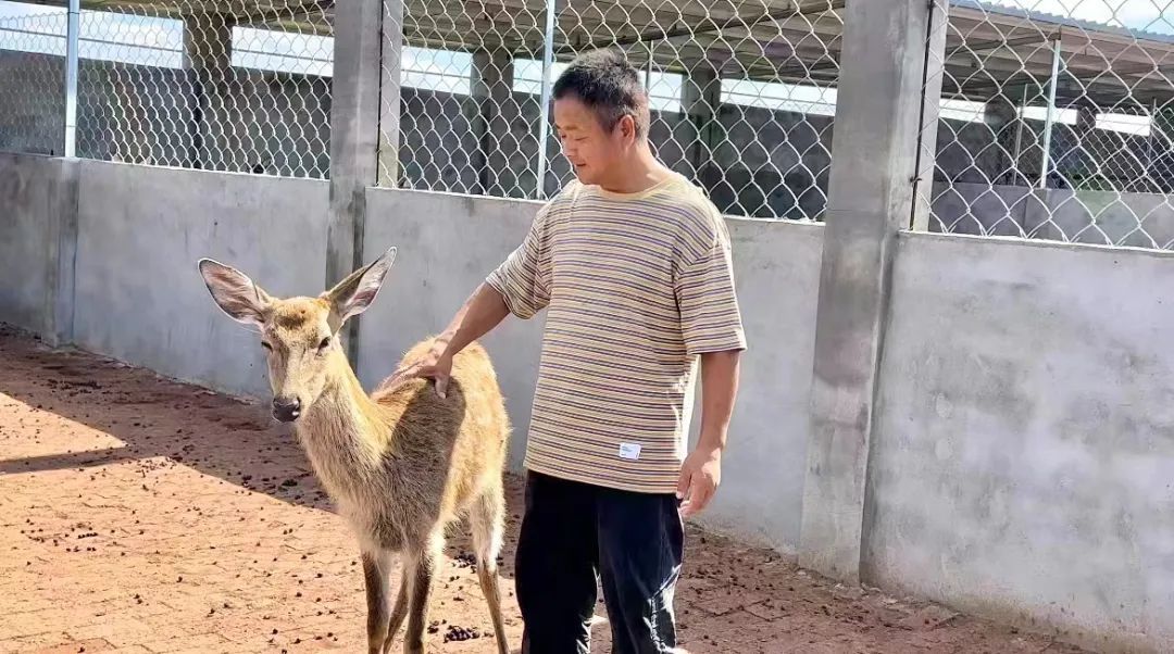 九星娱乐下载